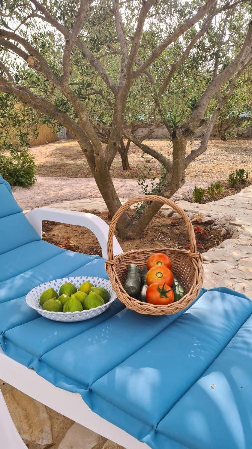 Villa Bubica- Cozy Holiday Home In Rural Area With Pool Stankovci  Eksteriør billede